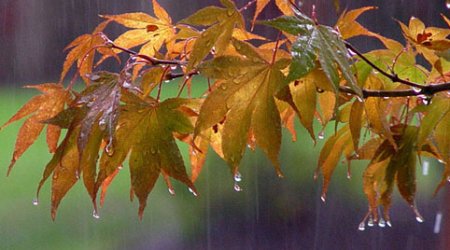 Завтра ряде районов Азербайджана ожидаются дожди и мокрый снег