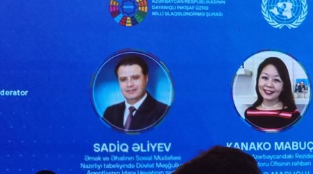 Agentlik müasir peşələri tədris proqramına daxil edib - Sadiq Əliyev