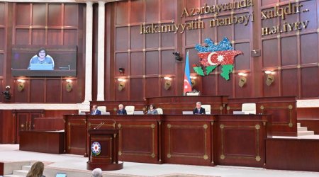 Peşə əmək qabiliyyətinin itirilməsi dərəcəsini müəyyənləşdirmək üçün yeni qaydalar hazırlanacaq