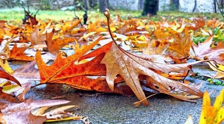 Завтра в ряде районов Азербайджана ожидаются ливни и град