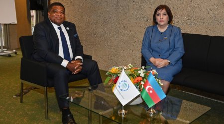 Сахиба Гафарова встретилась с Генеральным секретарем МПС