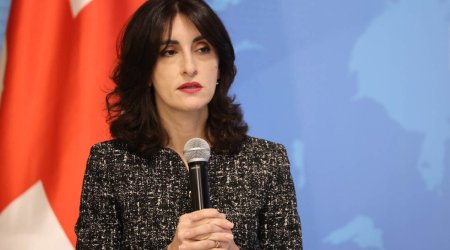 Грузия заявила, что угрозы отмены безвиза ЕС безосновательны