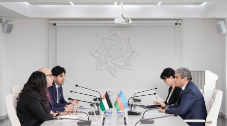 Азербайджан и Палестина обсудили сотрудничество в сфере труда и соцзащиты