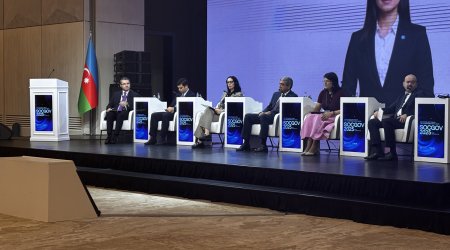 


ƏƏSMN-nin xidmətlərinin 90 faizdən çoxu elektronlaşdırılıb
