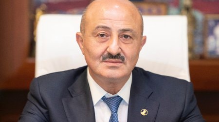 Deputat: Qəhvəyi məxmər bağacığı Zaqatalada kənd təsərrüfatına ciddi zərər vurur