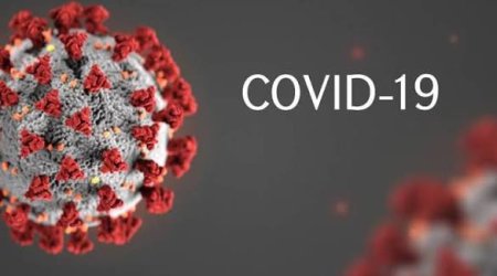 Новый штамм COVID-19 «Франкенштейн» выявлен в Турции