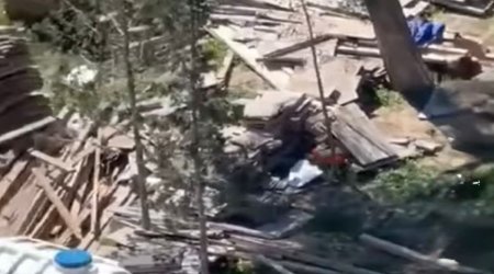 
Sumqayıtda ağac kəsilməsi faktı üzə araşdırma aparılır