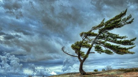 Oktyabrın son gününün hava proqnozu açıqlanıb