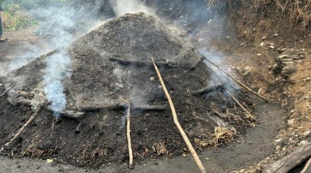 Bu il qanunsuz kömür istehsalı ilə bağlı 218 fakt qeydə alınıb