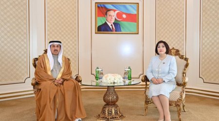 Milli Məclis və BƏƏ Federal Milli Şurasının sədrlərinin görüşü olub