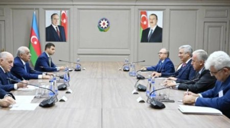 Асадов и турецкие промышленники обсудили проекты на освобожденных территориях