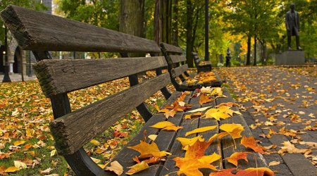 Sabahın hava proqnozu açıqlanıb