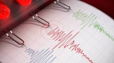 На Камчатке за сутки зафиксировали четыре афтершока