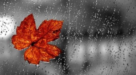 Sabahın hava proqnozu açıqlanıb