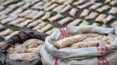 Son iki ildə Azərbaycan üzərindən 10 narkotik qaçaqmalçılığı cəhdinin qarşısı alındı