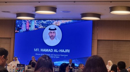 Qətər rəsmisi: İnsan hüquqlarının qorunması üçün güclü milli institutlar yaradılmalıdır