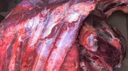 AQTA: Son günlər şadlıq saraylarında mənşəyi məlum olmayan ətlər aşkarlanıb