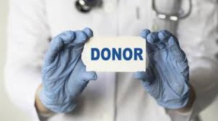 Azərbaycanda donor gözləyənlərin sayı 1000 nəfərdən çoxdur