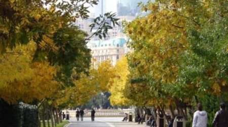 Завтра в Азербайджане ожидается до 23 градусов тепла