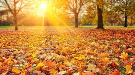 Sabah 24 dərəcə isti olacaq - PROQNOZ