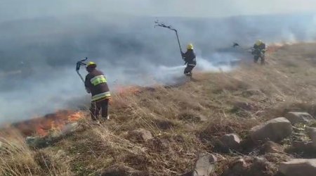 Gədəbəydə dağlıq ərazidə yanğın başlayıb - Video