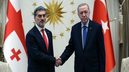 Türkiyə və Gürcüstan prezidentləri təyyarə qəzası ilə bağlı son durumu müzakirə ediblər