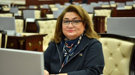 Üç uşaq analarına güzəştlər tətbiq edilməlidir- Deputat