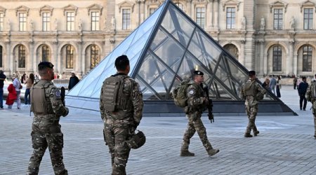 Депутаты допросят директора Лувра