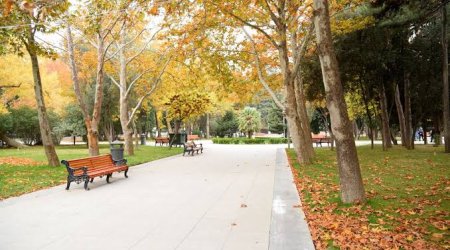 Sabahın hava proqnozu