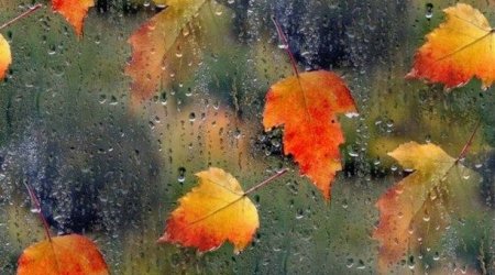 Leysan olacaq, şimşək çaxacaq - XƏBƏRDARLIQ