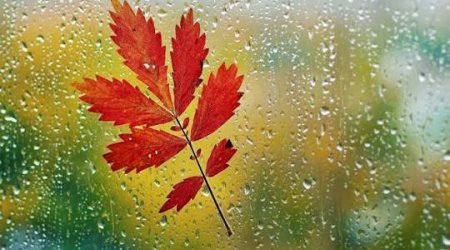 Faktiki hava açıqlanıb