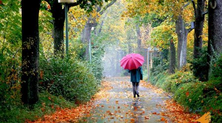 Sabahın hava proqnozu açıqlanıb