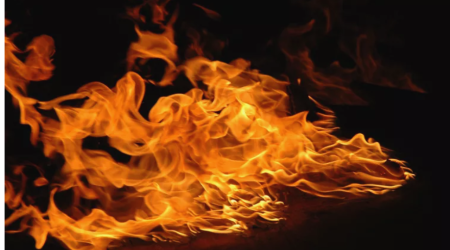 Fire on Azerbaijan-Armenia border extinguished