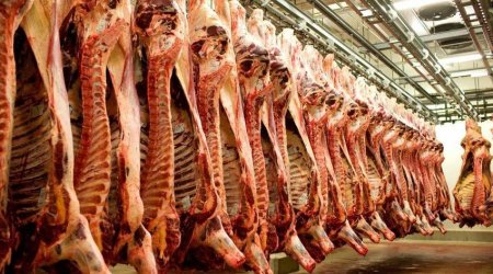 Azərbaycanda ət istehsalı 20% azalıb
