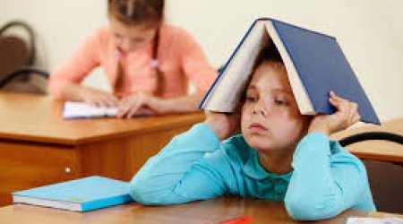 Dağlıq rayonlarda şagirdlərin sayı sürətlə azalır