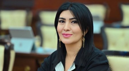 Cəfər Cabbarlı adına mədəniyyət evi yararsız hala düşüb - Elnarə Akimova