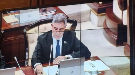 DSMF-in büdcədən asılılığı azaldılmalı, işsizlikdən sığorta fondunun xərclərində şəffaflıq artırılmalıdır - Deputat