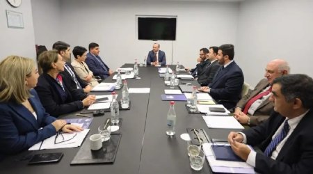 Ermənistanın vətəndaş cəmiyyəti nümayəndələrindən ibarət qrup Azərbaycana gəlib