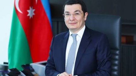 Nazir müavini fiziki şəxslərin sosial sığorta yükü ilə bağlı təklifləri şərh edib