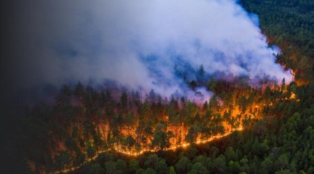 Анкара поможет Ирану справиться с лесным пожаром