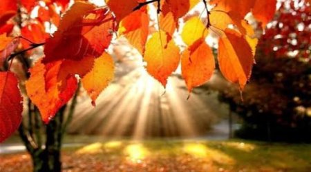 Sabahın hava proqnozu açıqlanıb