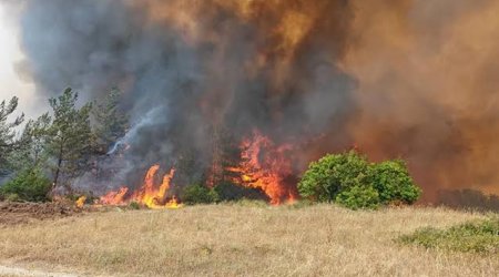 Gədəbəydə dağlıq ərazidə yanğın olub