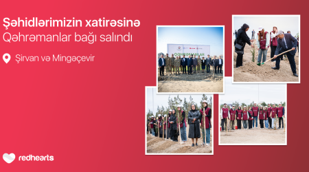 “Garden of Heroes” project: 543 trees planted in memory of martyrs