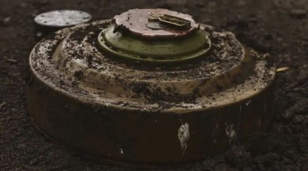 Bir həftədə 35 tank əlehinə mina zərərsizləşdirilib - Rəsmi