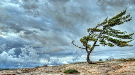 Windy weather is expected in Baku tomorrow