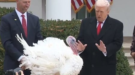 Tramp iki hinduşqanı hotelə gətizdirərək onları əfv edib