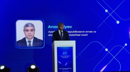 Bu il 491 min nəfəri aktiv məşğulluq proqramlarına cəlb edib – Nazir