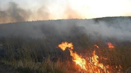 Kəlbəcərdə açıq ərazidə yanğın baş verib