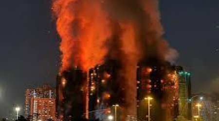 SCMP: Более 90 домашних питомцев спасли в Гонконге на месте мощного пожара