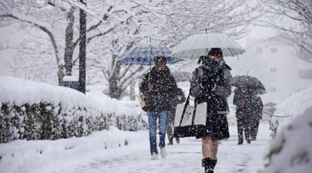 Sabah bəzi yerlərdə yağ yağacaq - Proqnoz